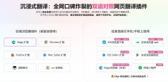 濡備綍浣跨敤Immersive_Translate瀹炵幇瑙嗛鍙岃